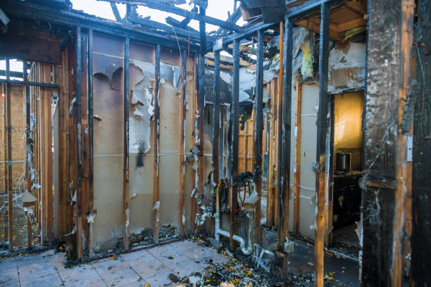Professional Fire Damage Repair technician working in Porter Heights, TX